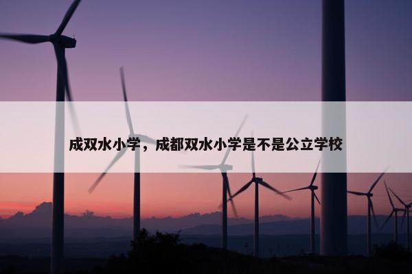 成双水小学，成都双水小学是不是公立学校