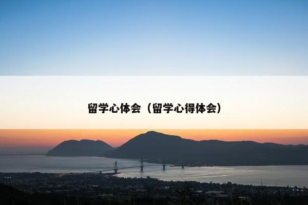 留学心体会（留学心得体会）