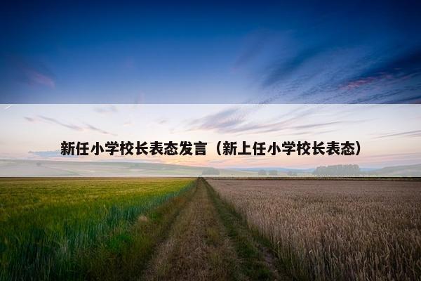 新任小学校长表态发言（新上任小学校长表态）