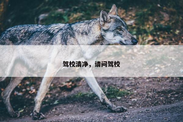 驾校清净，请问驾校