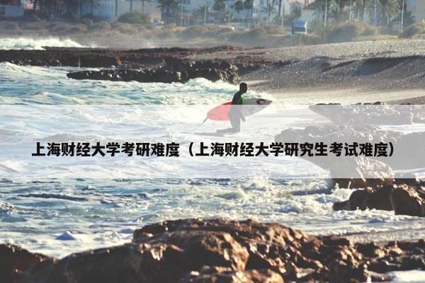 上海财经大学考研难度（上海财经大学研究生考试难度）
