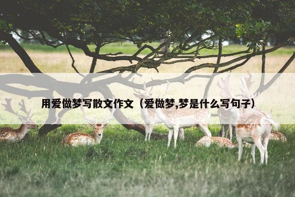 用爱做梦写散文作文（爱做梦,梦是什么写句子）