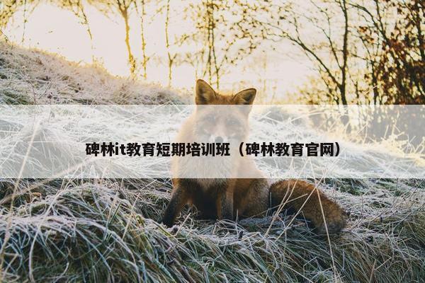 碑林it教育短期培训班（碑林教育官网）