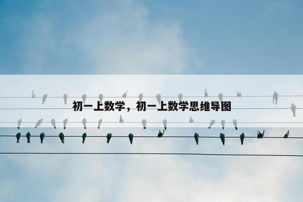 初一上数学，初一上数学思维导图