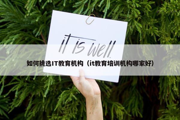 如何挑选IT教育机构（it教育培训机构哪家好）