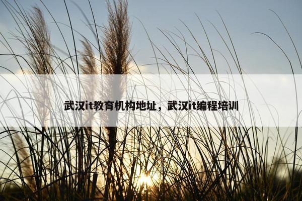 武汉it教育机构地址，武汉it编程培训