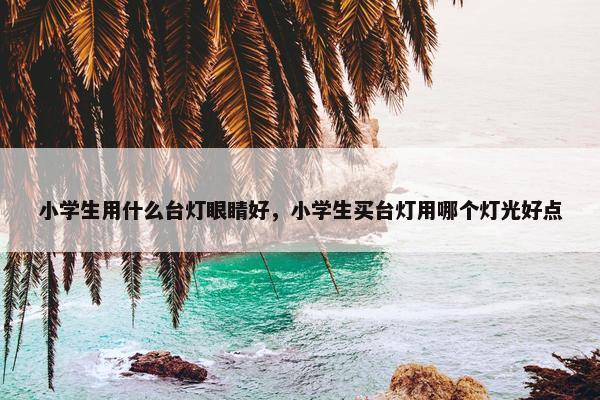 小学生用什么台灯眼睛好，小学生买台灯用哪个灯光好点