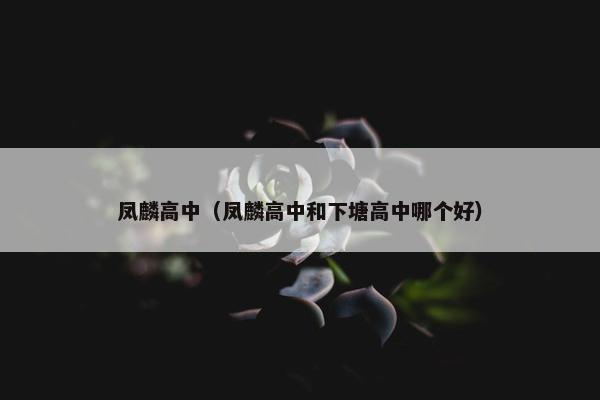 凤麟高中（凤麟高中和下塘高中哪个好）