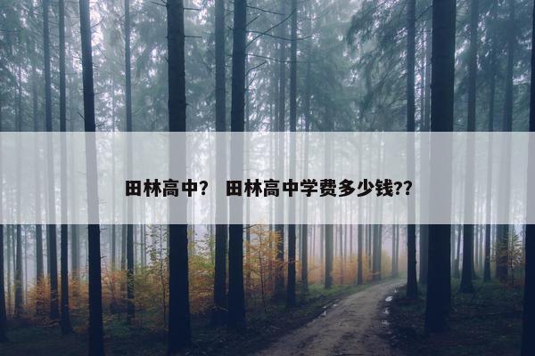 田林高中？ 田林高中学费多少钱?？