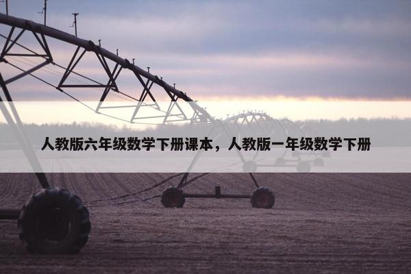 人教版六年级数学下册课本，人教版一年级数学下册