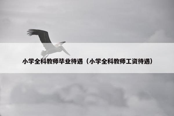 小学全科教师毕业待遇（小学全科教师工资待遇）