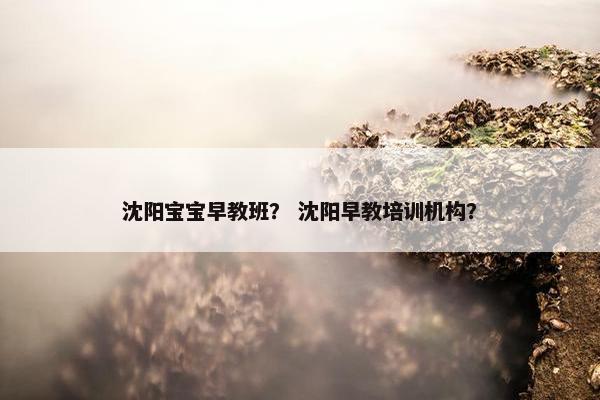 沈阳宝宝早教班？ 沈阳早教培训机构？