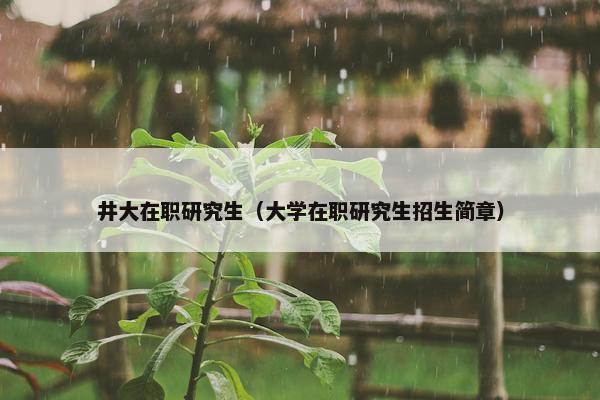 井大在职研究生（大学在职研究生招生简章）