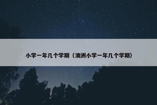 小学一年几个学期（澳洲小学一年几个学期）