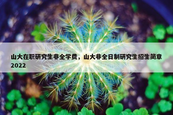 山大在职研究生非全学费，山大非全日制研究生招生简章2022