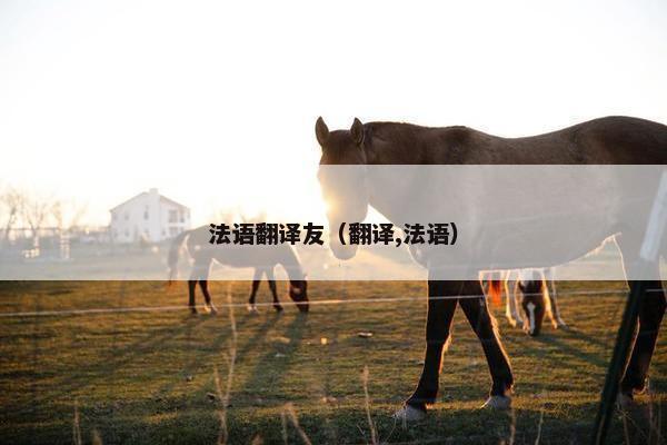 法语翻译友（翻译,法语）