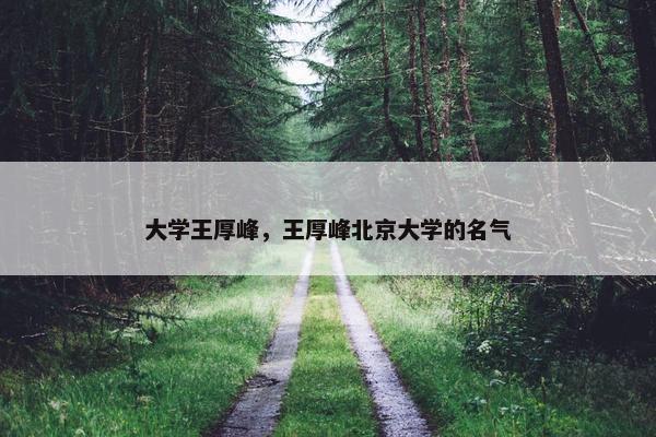 大学王厚峰，王厚峰北京大学的名气