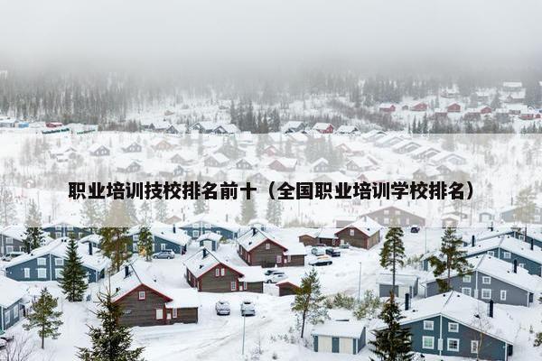 职业培训技校排名前十（全国职业培训学校排名）