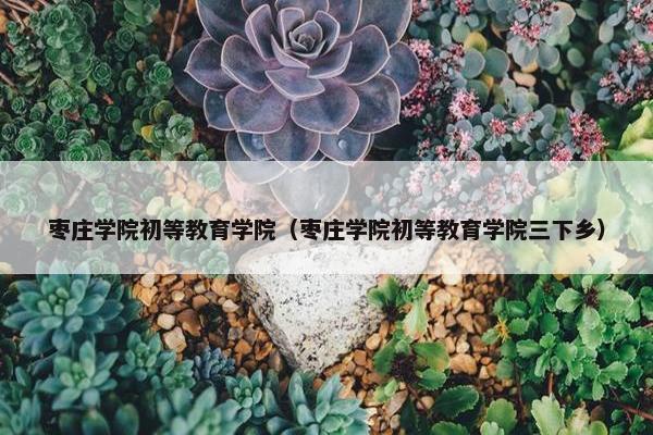 枣庄学院初等教育学院（枣庄学院初等教育学院三下乡）