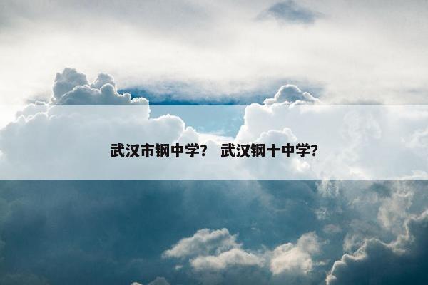武汉市钢中学？ 武汉钢十中学？