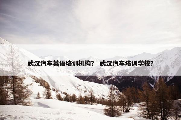武汉汽车英语培训机构？ 武汉汽车培训学校？