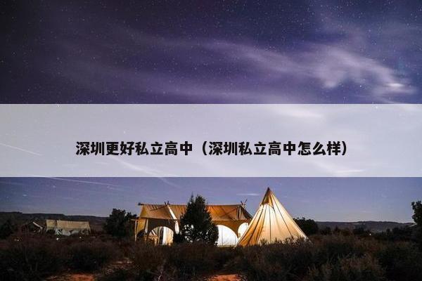 深圳更好私立高中（深圳私立高中怎么样）