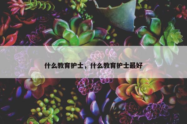 什么教育护士，什么教育护士最好