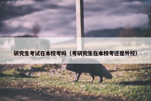 研究生考试在本校考吗（考研究生在本校考还是外校）