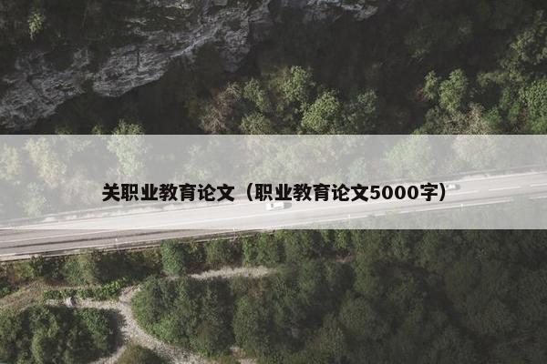 关职业教育论文（职业教育论文5000字）