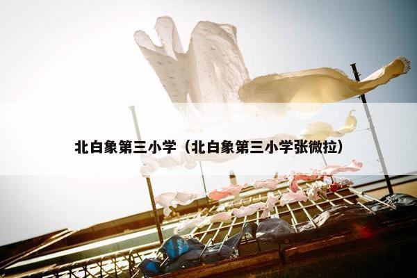 北白象第三小学（北白象第三小学张微拉）