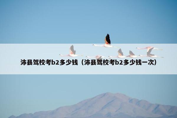 沛县驾校考b2多少钱（沛县驾校考b2多少钱一次）