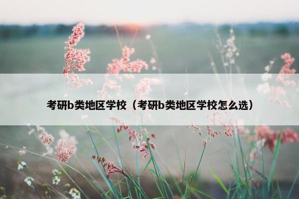 考研b类地区学校（考研b类地区学校怎么选）