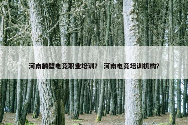 河南鹤壁电竞职业培训？ 河南电竞培训机构？