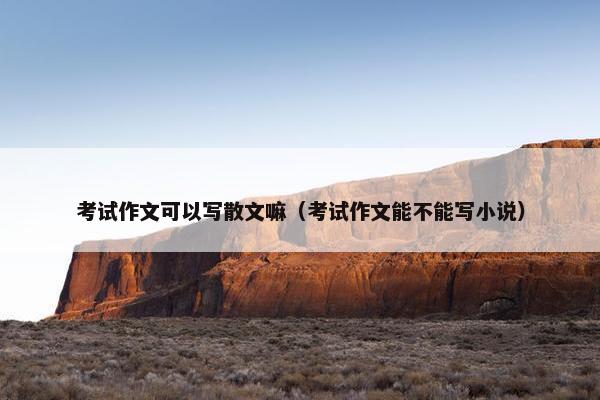 考试作文可以写散文嘛（考试作文能不能写小说）