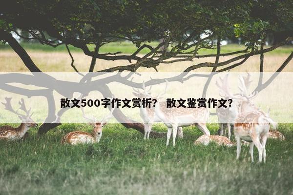 散文500字作文赏析？ 散文鉴赏作文？