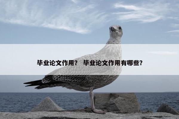毕业论文作用？ 毕业论文作用有哪些？