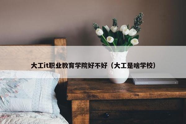 大工it职业教育学院好不好（大工是啥学校）