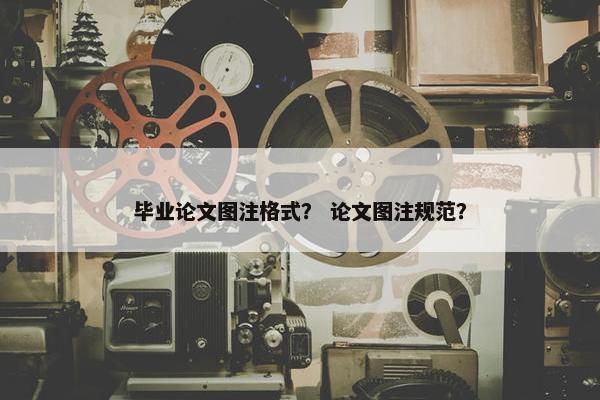 毕业论文图注格式？ 论文图注规范？