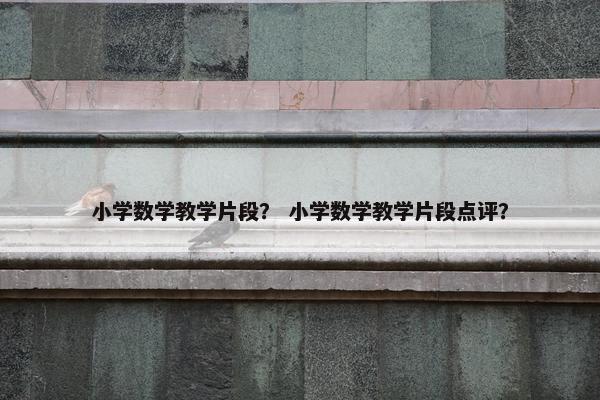 小学数学教学片段？ 小学数学教学片段点评？