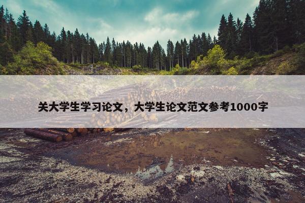 关大学生学习论文，大学生论文范文参考1000字