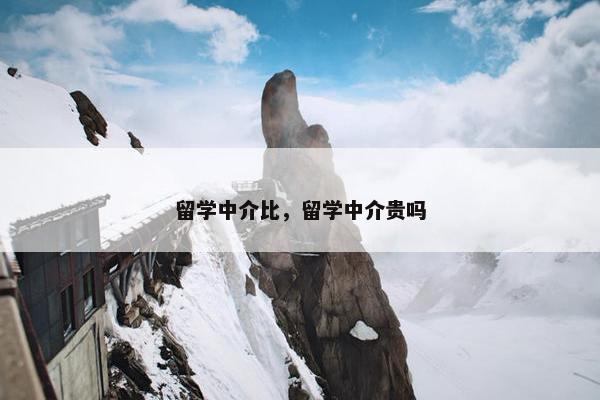留学中介比，留学中介贵吗