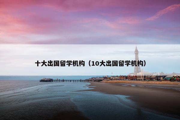 十大出国留学机构（10大出国留学机构）