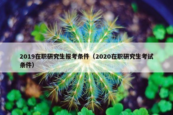 2019在职研究生报考条件（2020在职研究生考试条件）