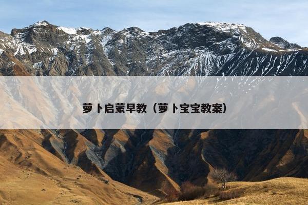 萝卜启蒙早教（萝卜宝宝教案）