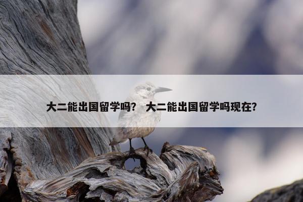 大二能出国留学吗？ 大二能出国留学吗现在？