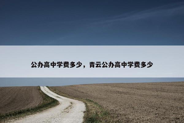 公办高中学费多少，青云公办高中学费多少