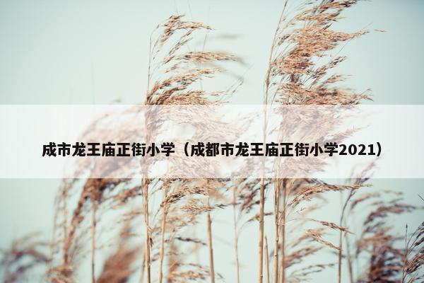 成市龙王庙正街小学（成都市龙王庙正街小学2021）