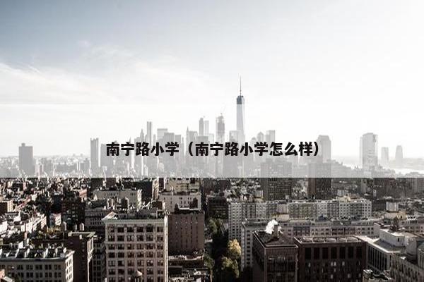 南宁路小学（南宁路小学怎么样）