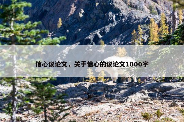 信心议论文，关于信心的议论文1000字