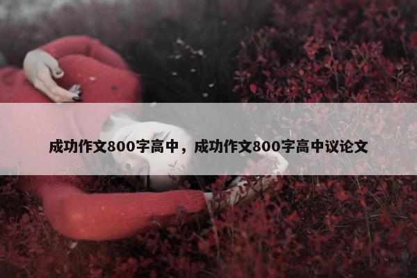 成功作文800字高中，成功作文800字高中议论文